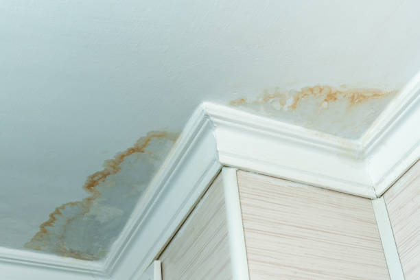 How Roof Leaks Damage Your Home