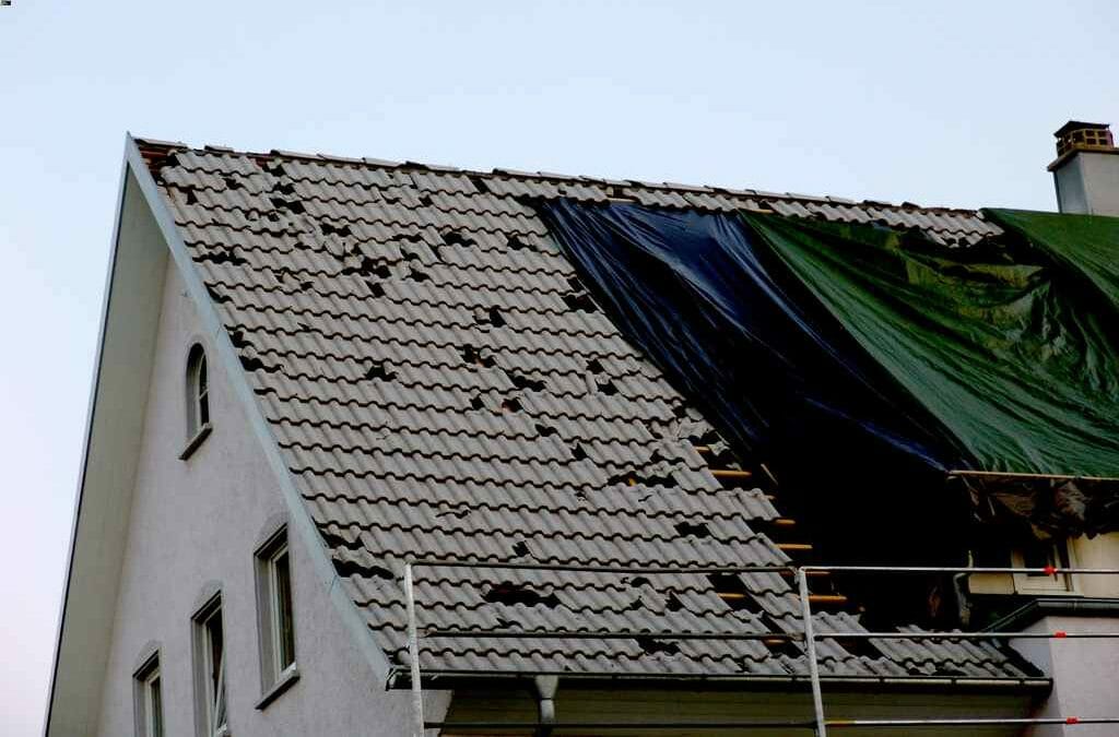 4 Steps to Take after a Storm Damages Your Roof in McKinney