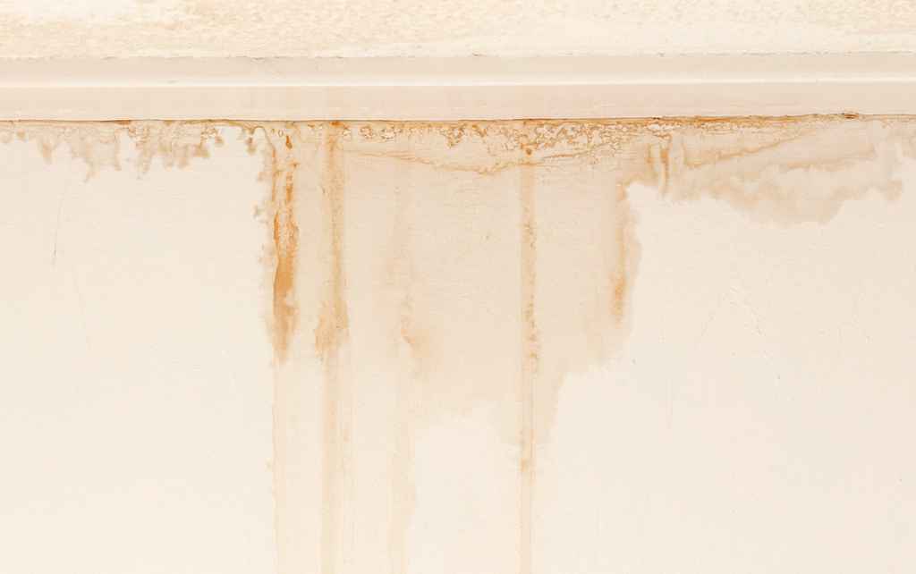 Common Causes of Roof Leaks in Frisco